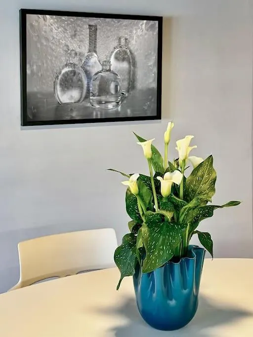 Sedo3032A • Venezia Central • Luxury House • 0*, Venice Italy